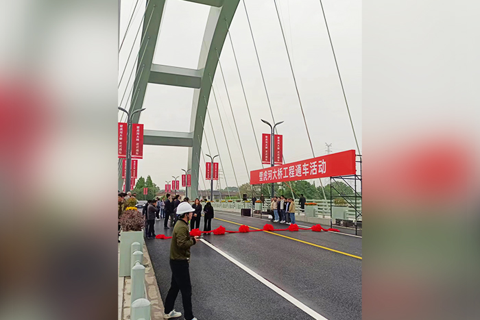 ব্রিজ স্ট্রিট লাইট ট্র্যাফিক প্রকল্প